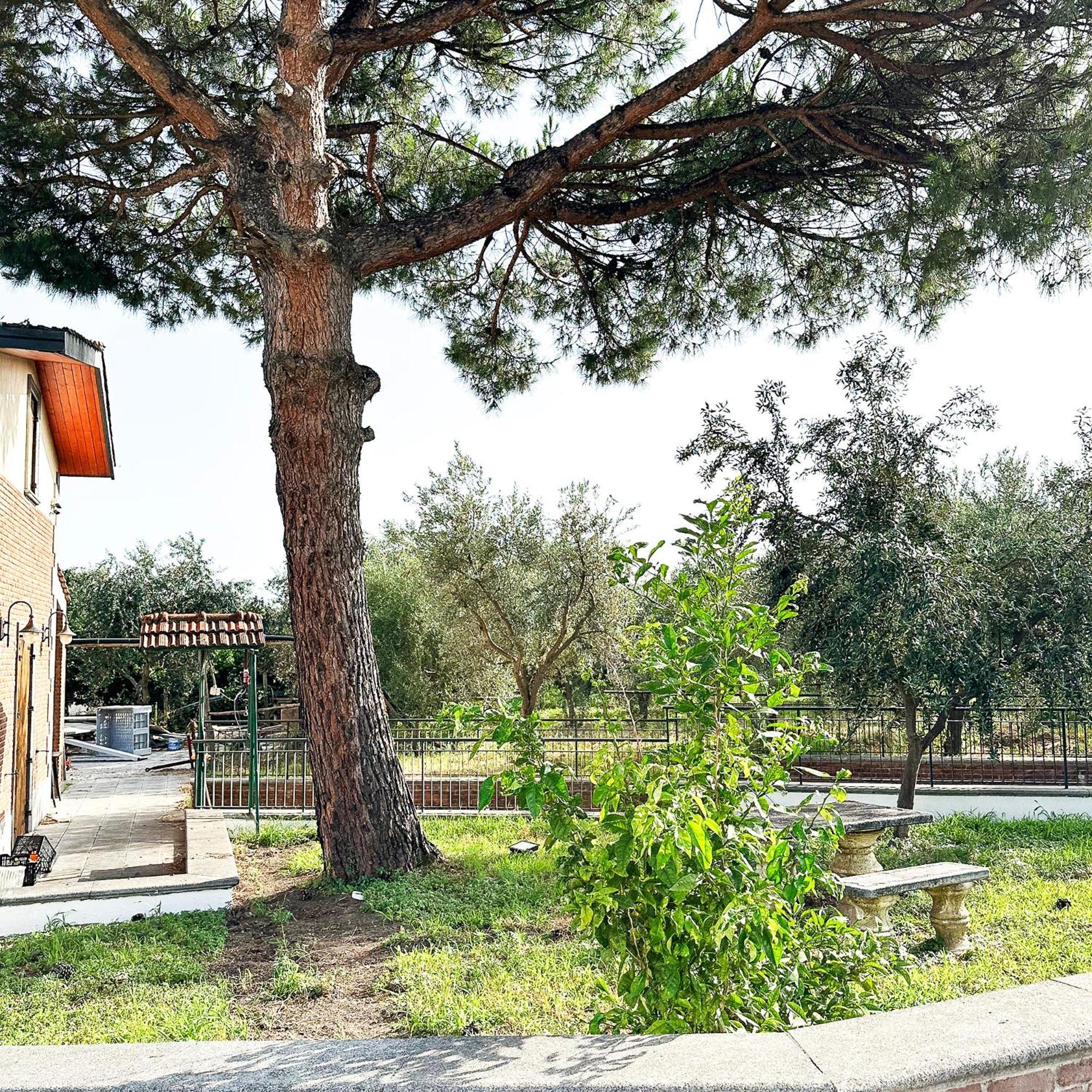 Tenuta Nunziata - Food, Event, Biofarm 托雷安农齐亚塔 外观 照片