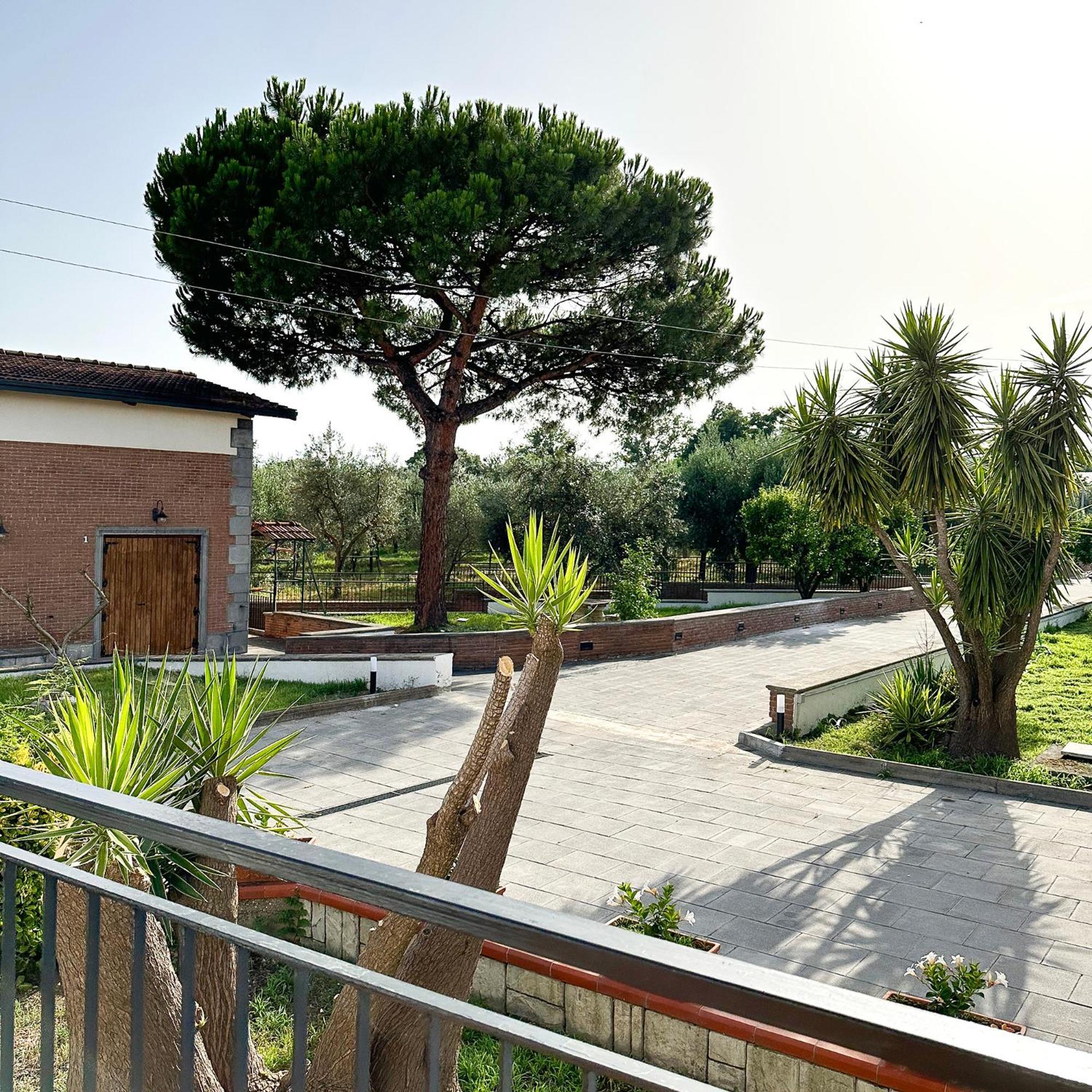 Tenuta Nunziata - Food, Event, Biofarm 托雷安农齐亚塔 外观 照片