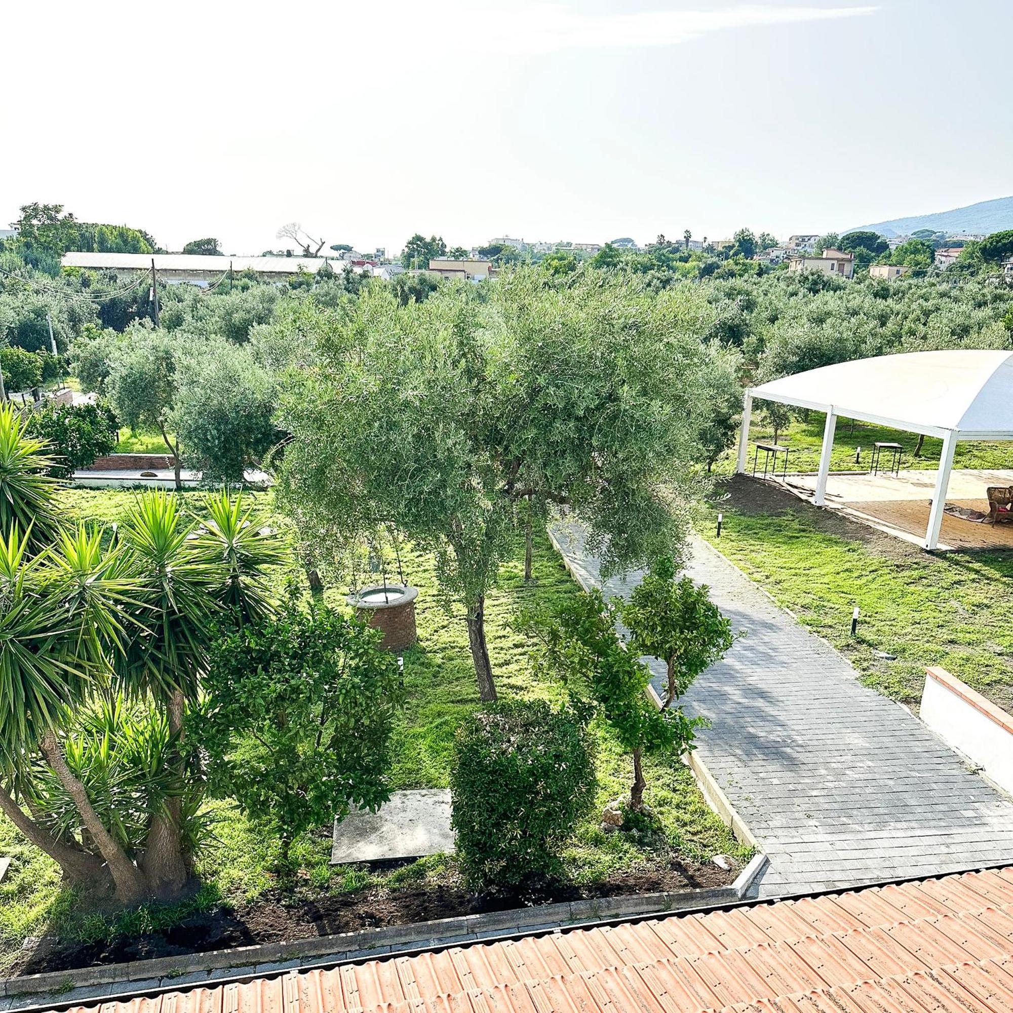 Tenuta Nunziata - Food, Event, Biofarm 托雷安农齐亚塔 外观 照片